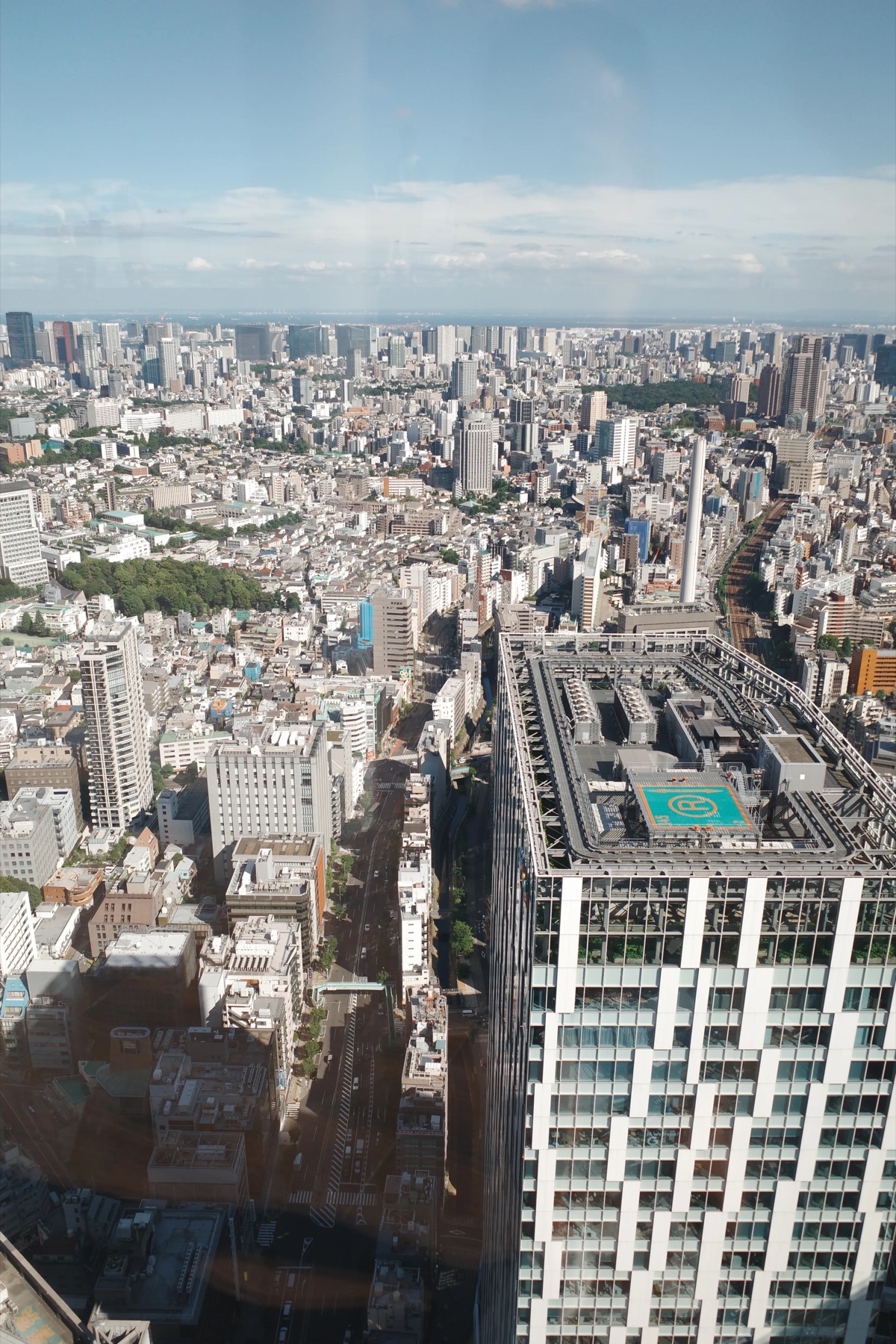 Tokyo from above