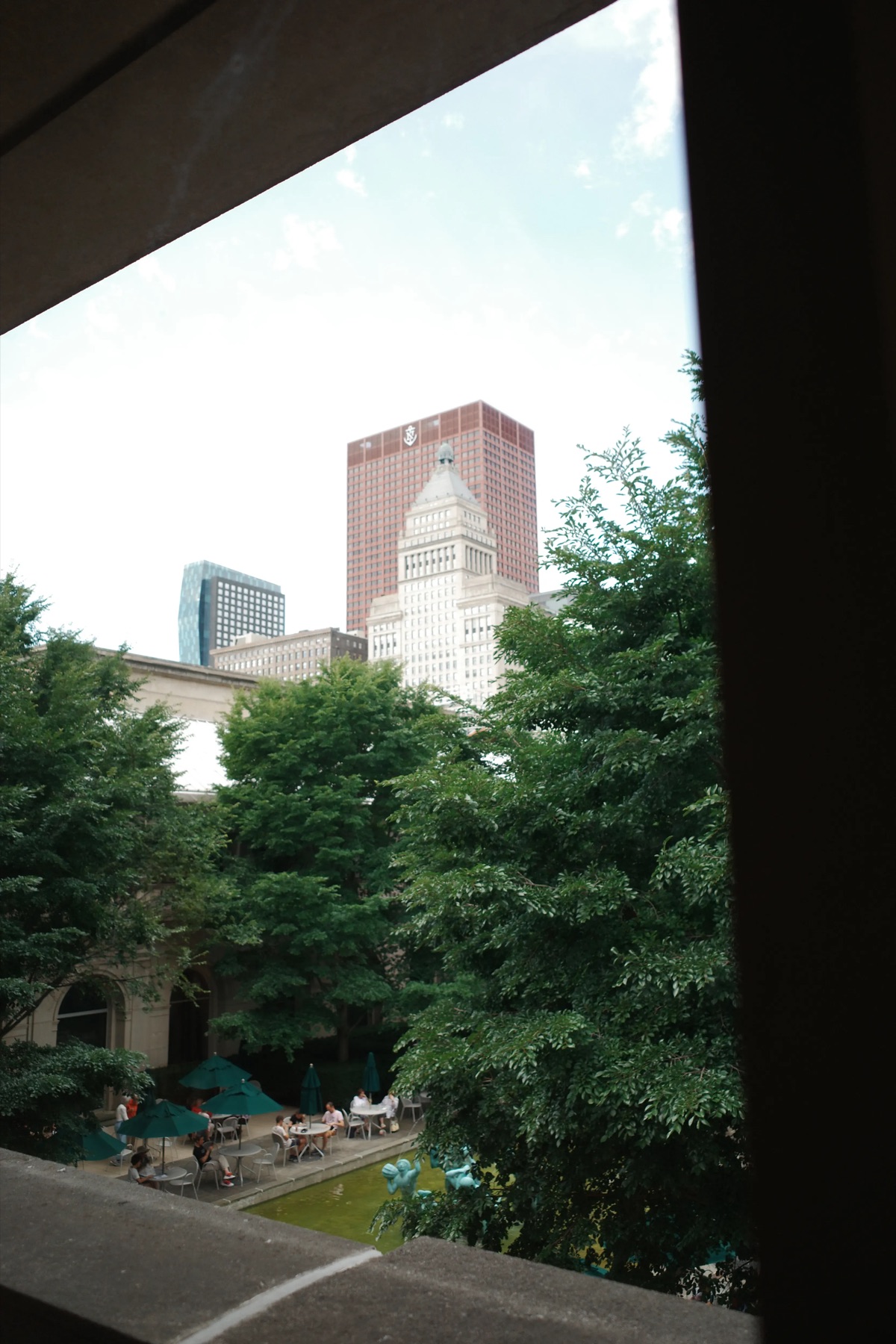 Skyline through the trees